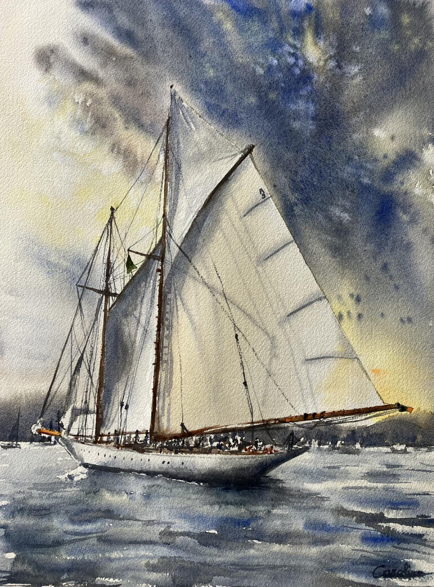 Les Voiles de Saint-Tropez